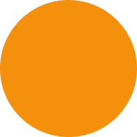 NARANJAS EVOLVED
